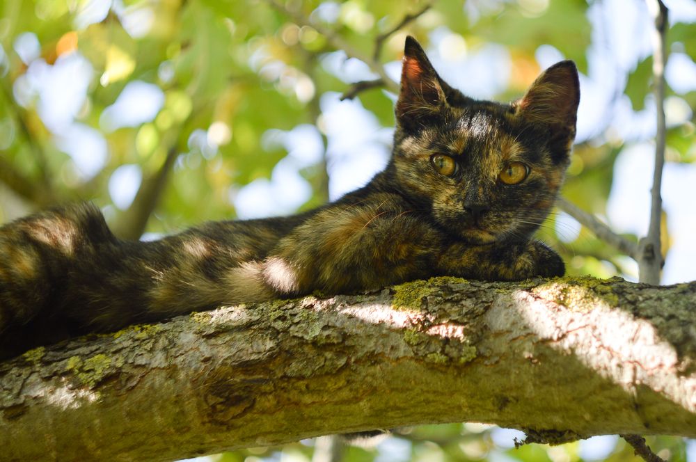 Photograph by Анастасия