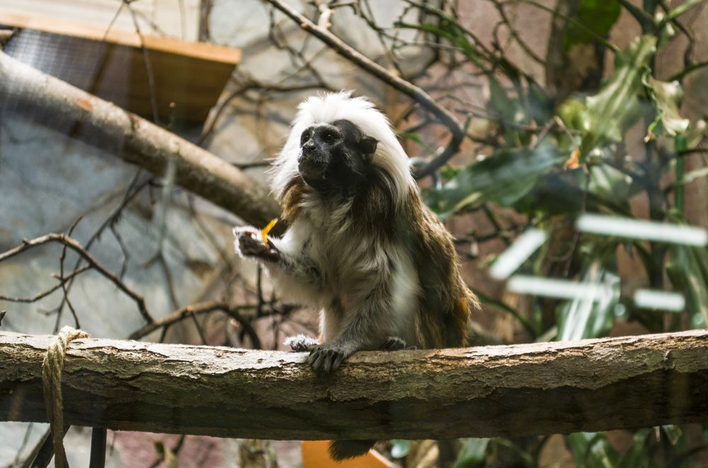 Photograph by Елизавета Большакова