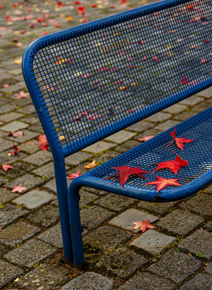 Photograph by Oleg Yashin