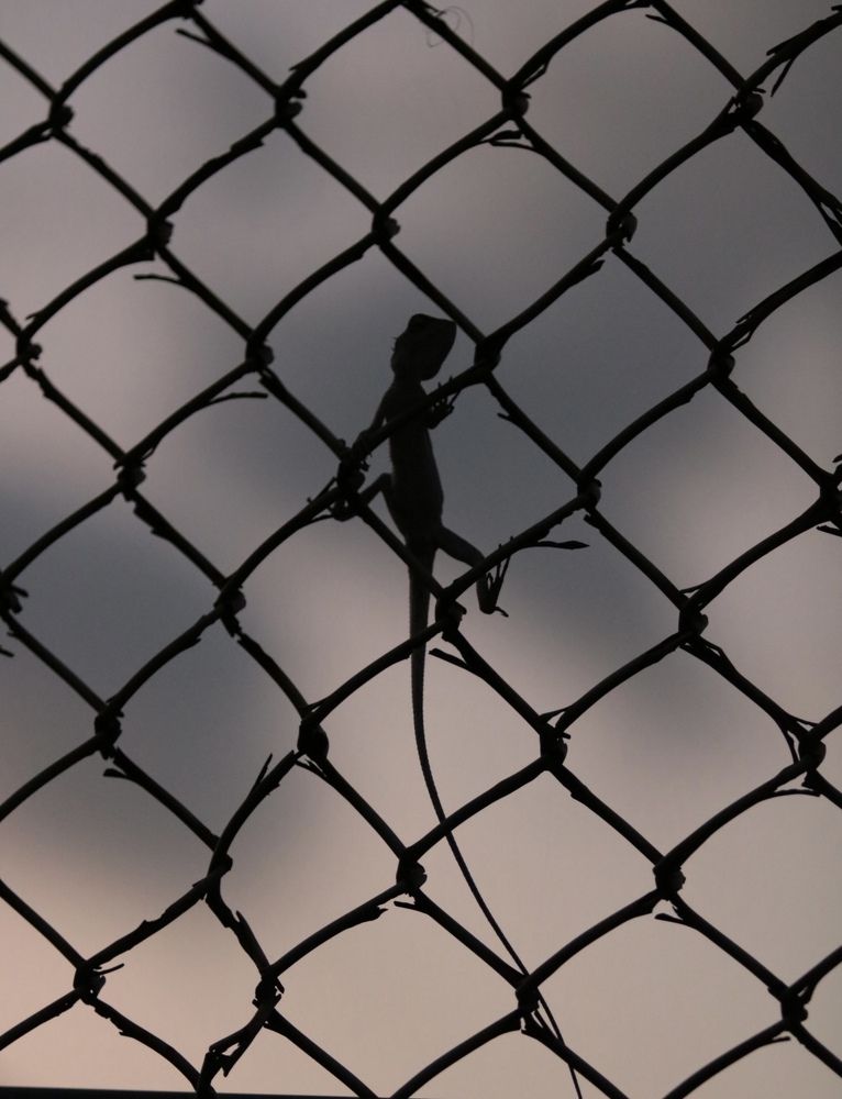 Photograph by Елена Ковалева