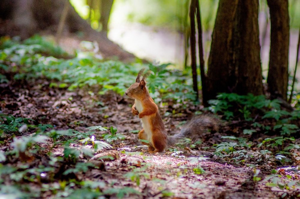 Photograph by Анастасия