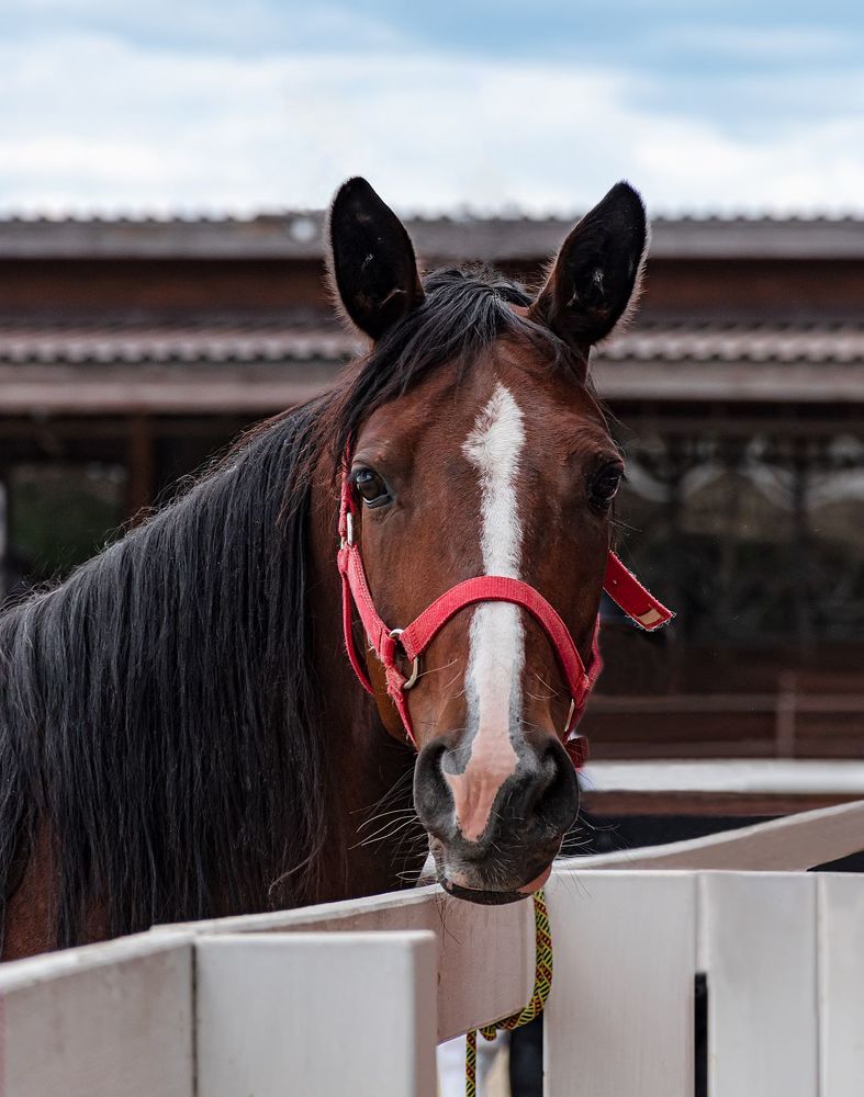 Photograph by Галина Эмберг