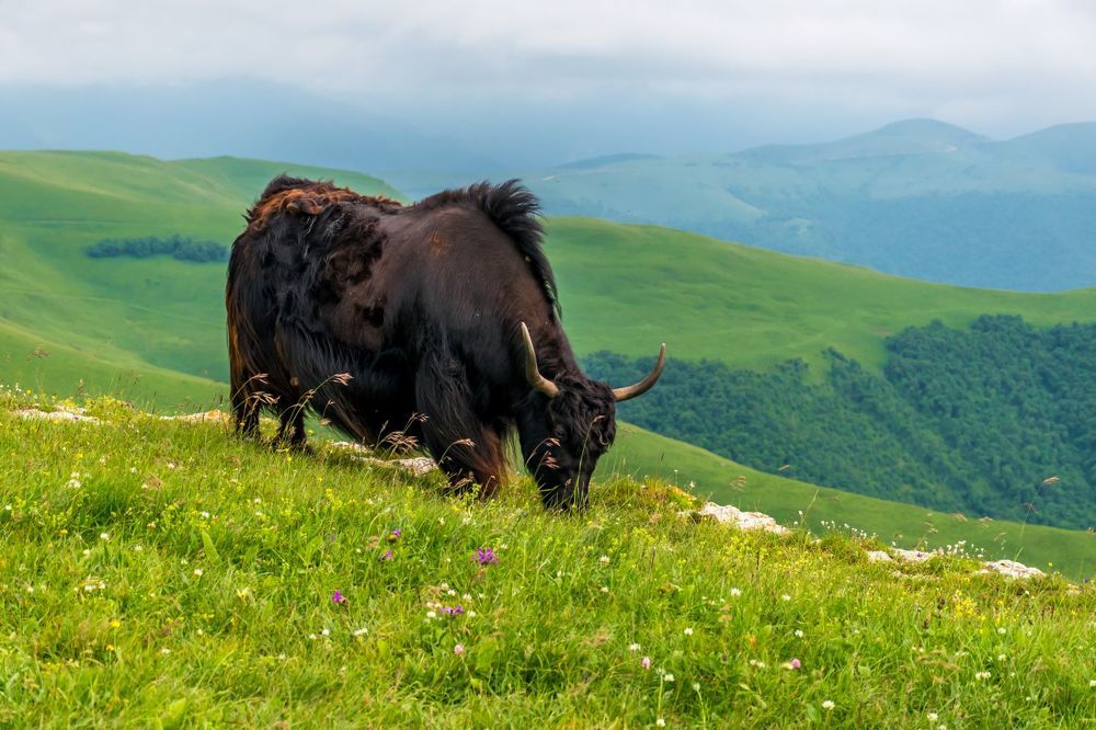 Photograph by Галина Эмберг