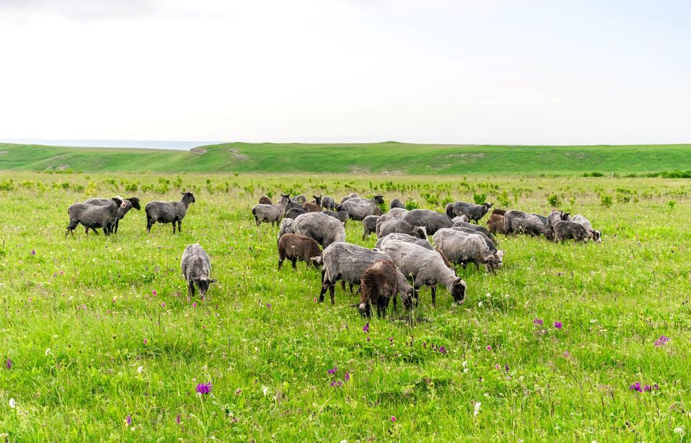 Photograph by Галина Эмберг