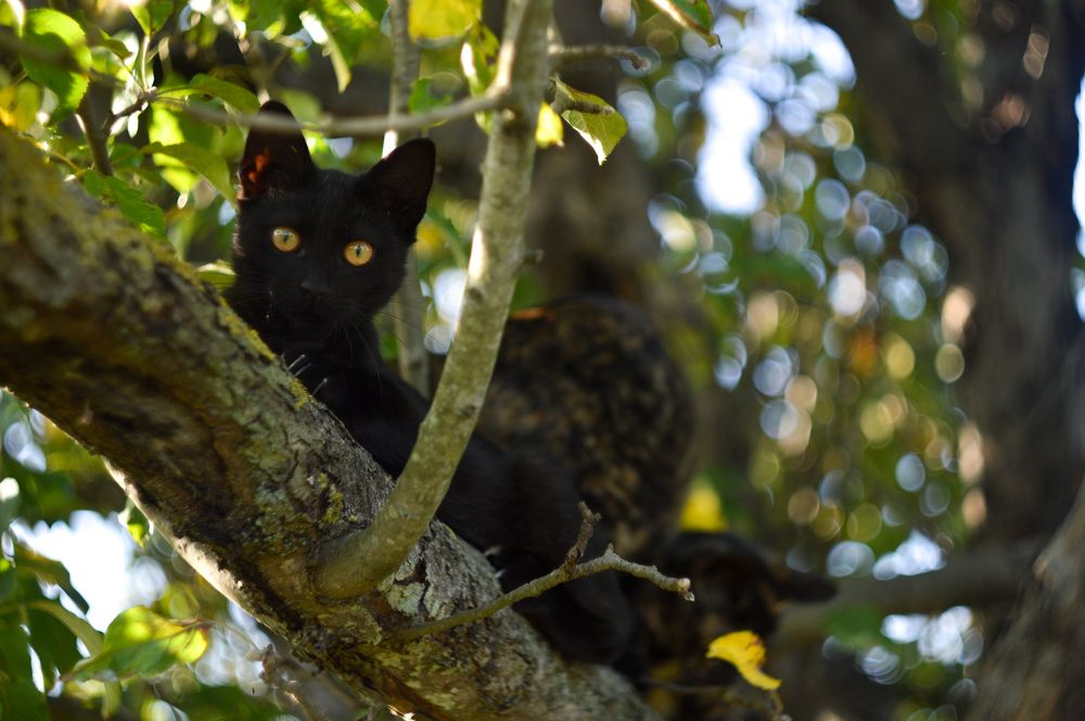 Photograph by Анастасия