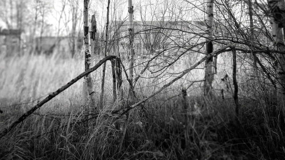 Фотография автора Евгения Зайцева