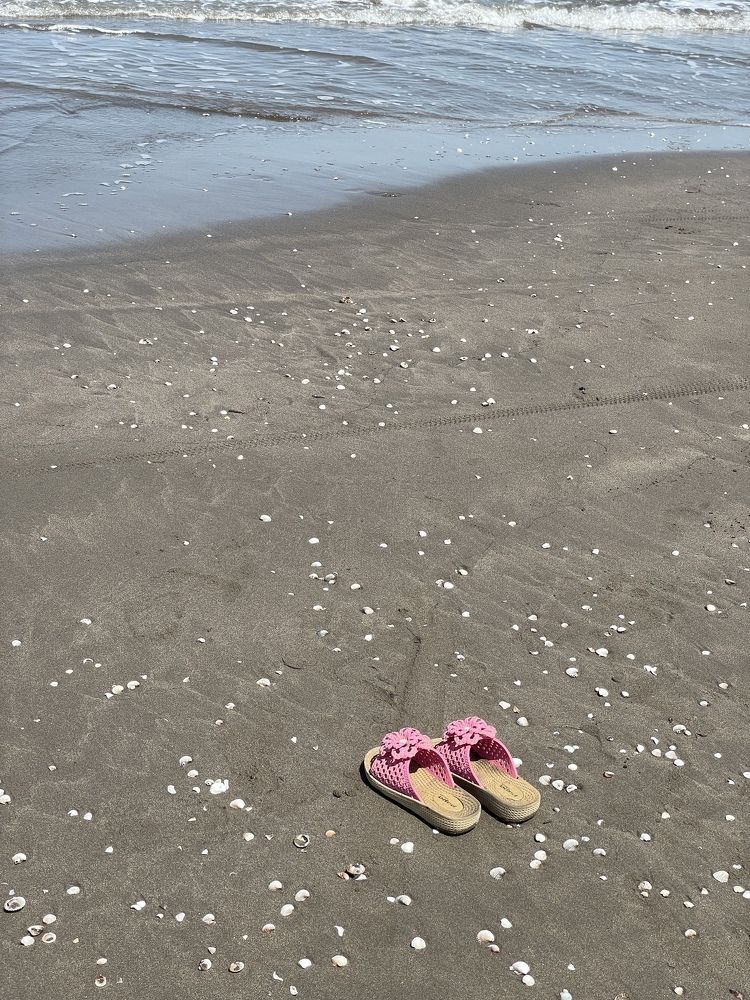 Photograph by Sarah Mirzakazemi