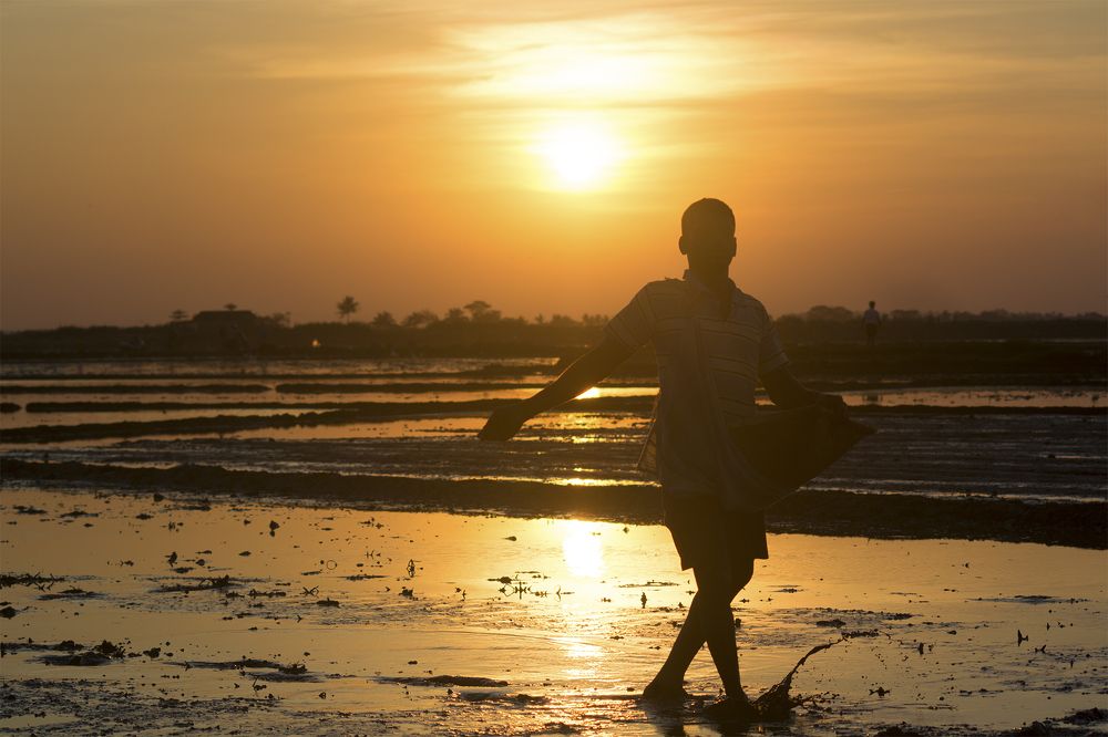 Photograph by Nithin Kumar