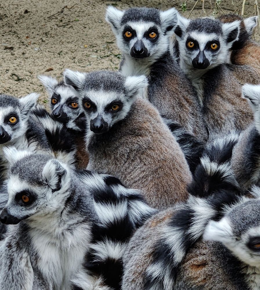 Photograph by Татьяна Гулакова