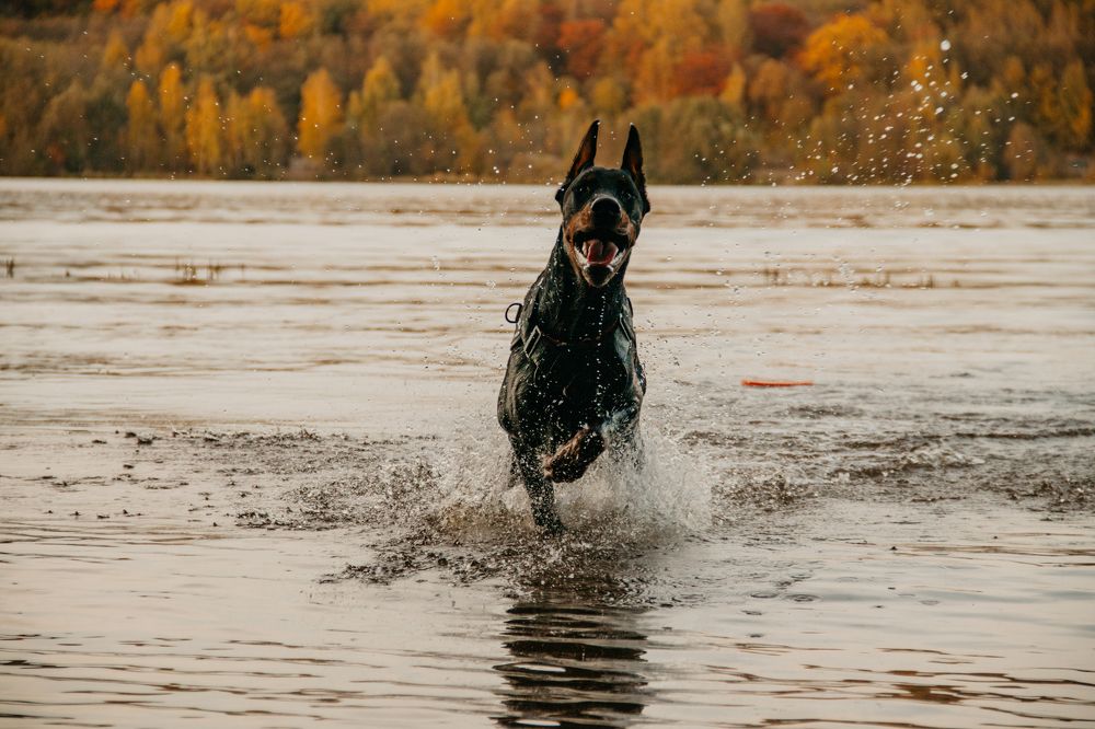 Photograph by Юлия Скворцова