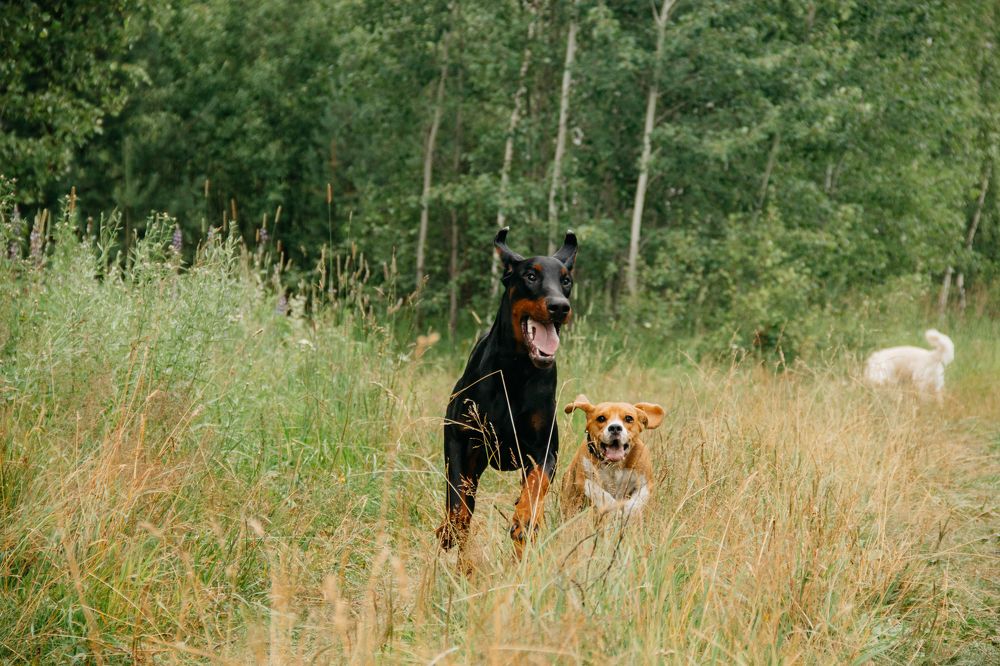 Photograph by Юлия Скворцова