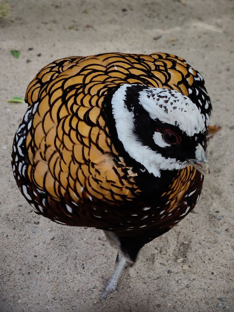 Photograph by Татьяна Гулакова