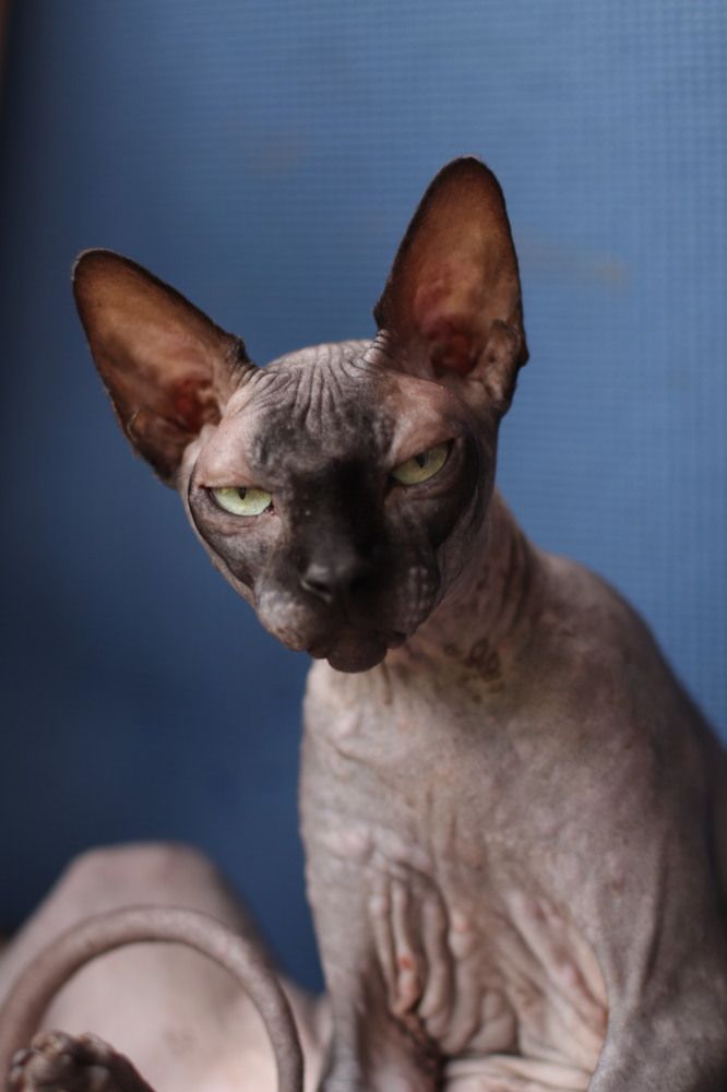 Photograph by Юлия Скворцова