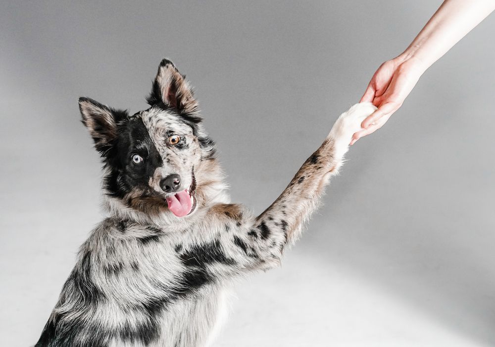 Photograph by Anna Spiridonova