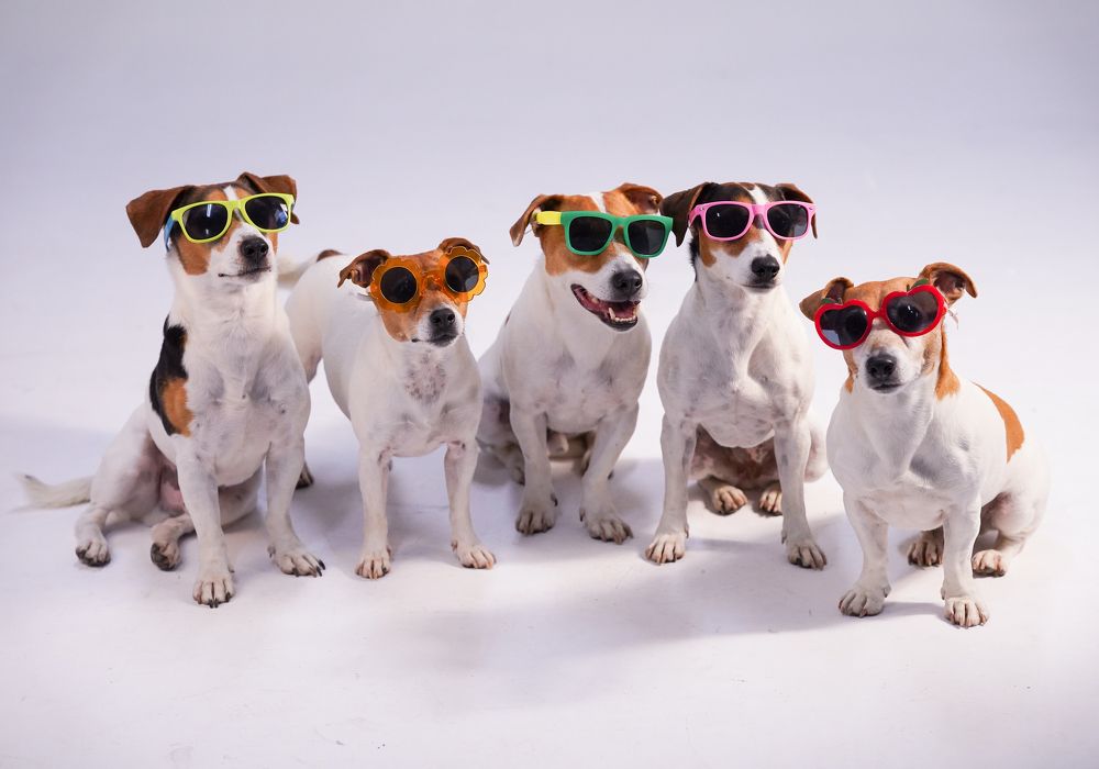 Photograph by Anna Spiridonova