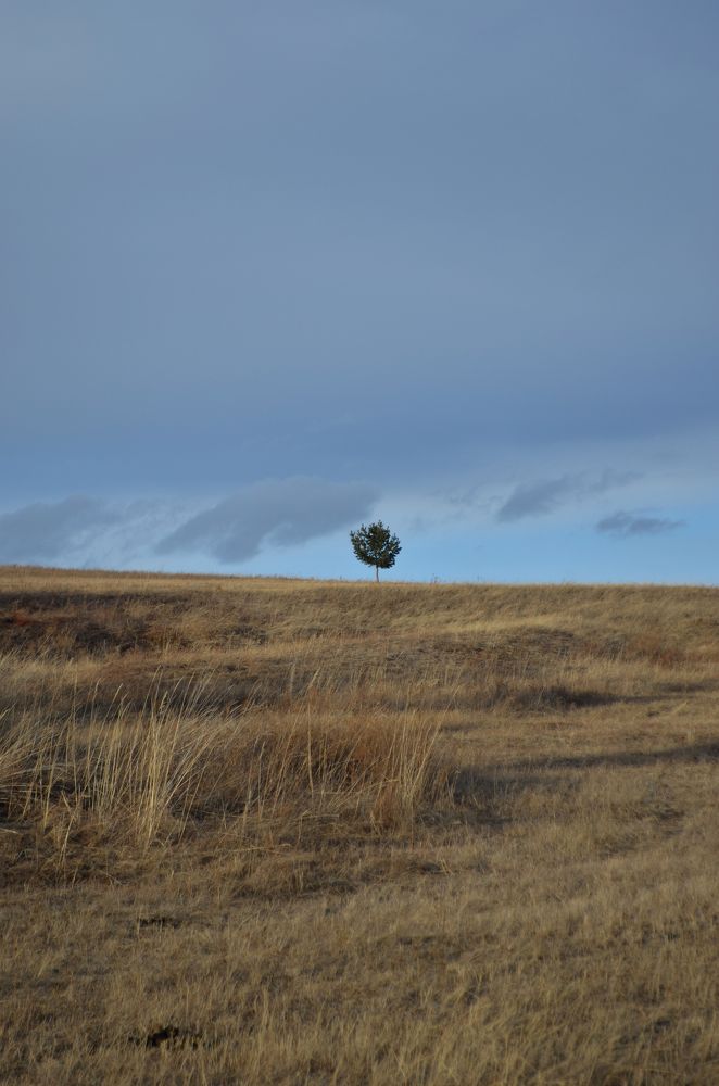Photograph by Валерий Лапоног