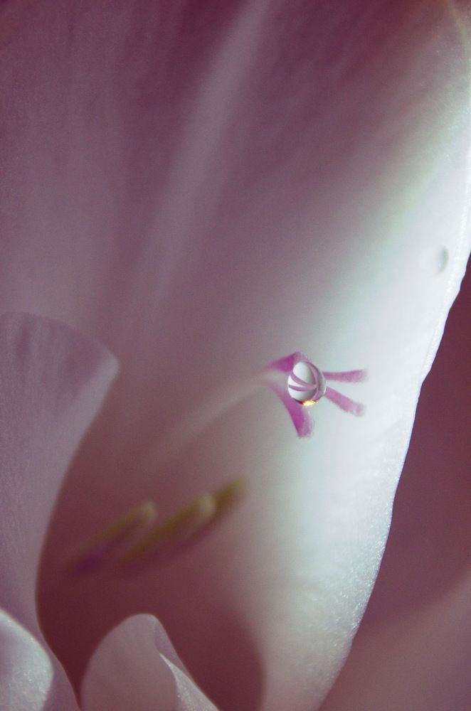 Photograph by 