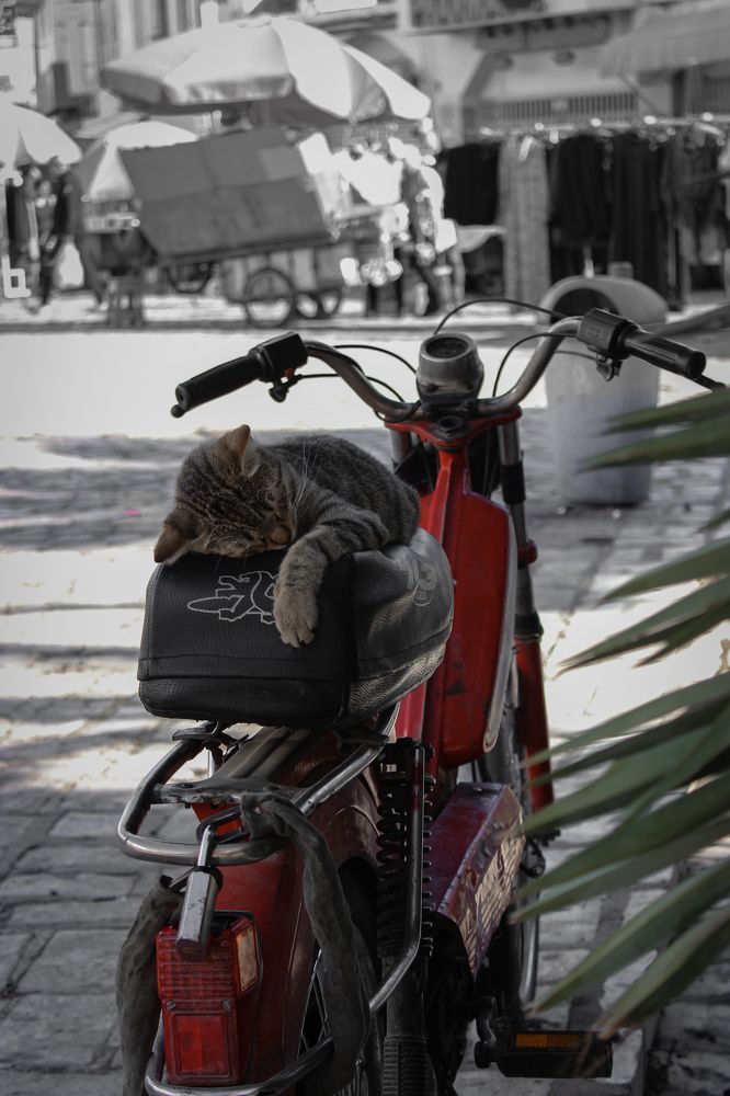 Фотография автора Aya lina Bng