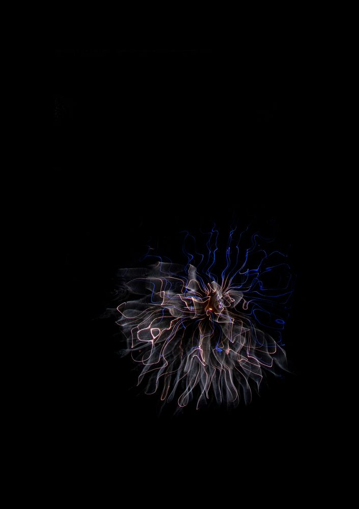 Photograph by Марина