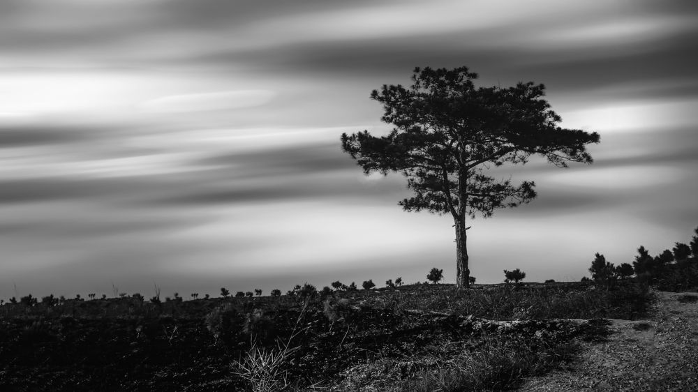 Photograph by Chau Nguyen