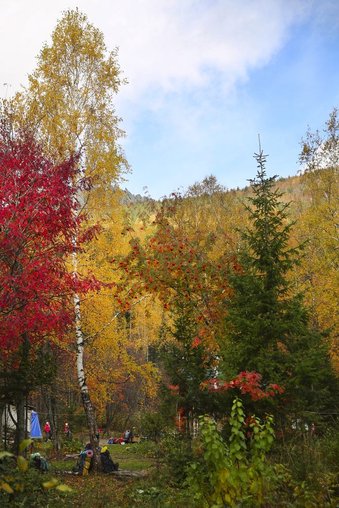 Photograph by Андрей Стародубцев