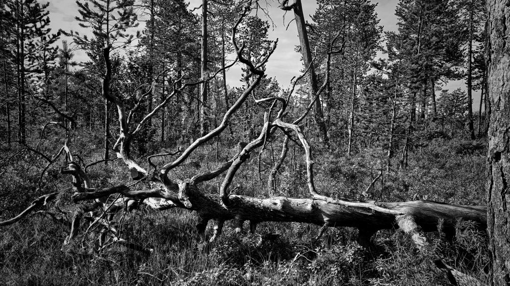 Фотография автора Евгения Зайцева