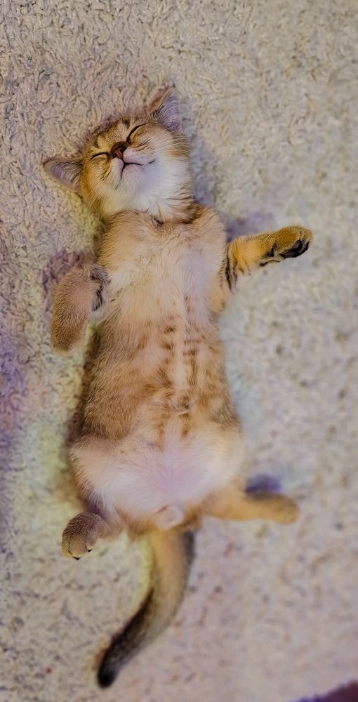 Photograph by INNA KHOMENKO