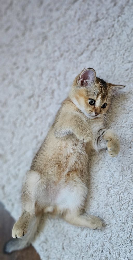 Photograph by INNA KHOMENKO