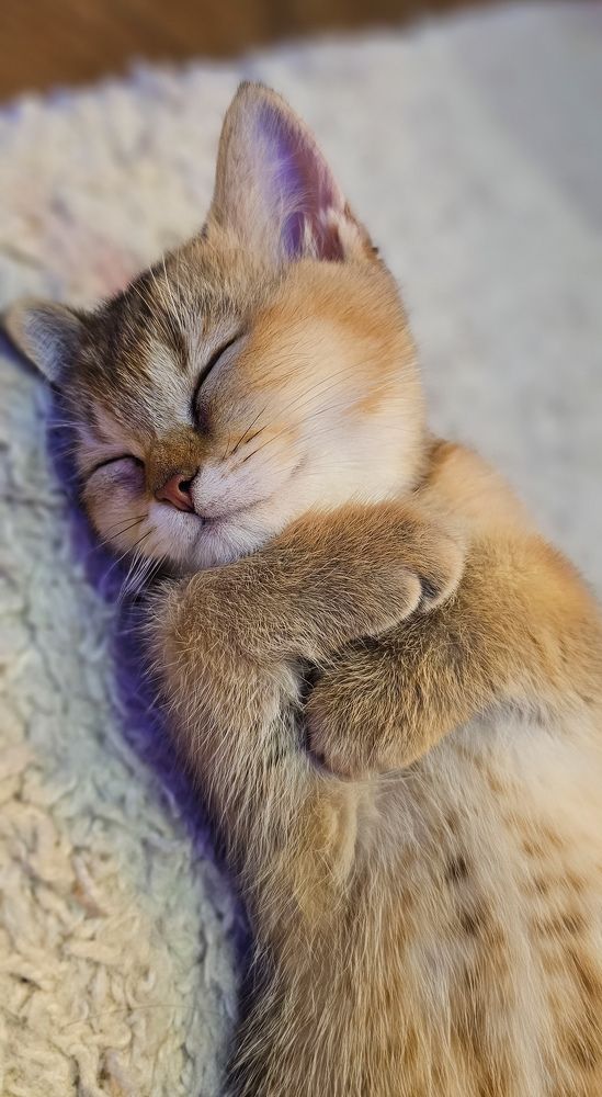 Photograph by INNA KHOMENKO