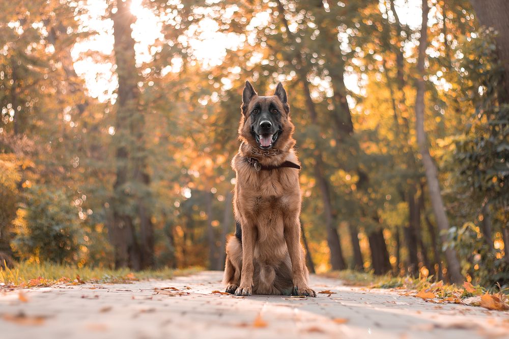 Photograph by Любовь Головина