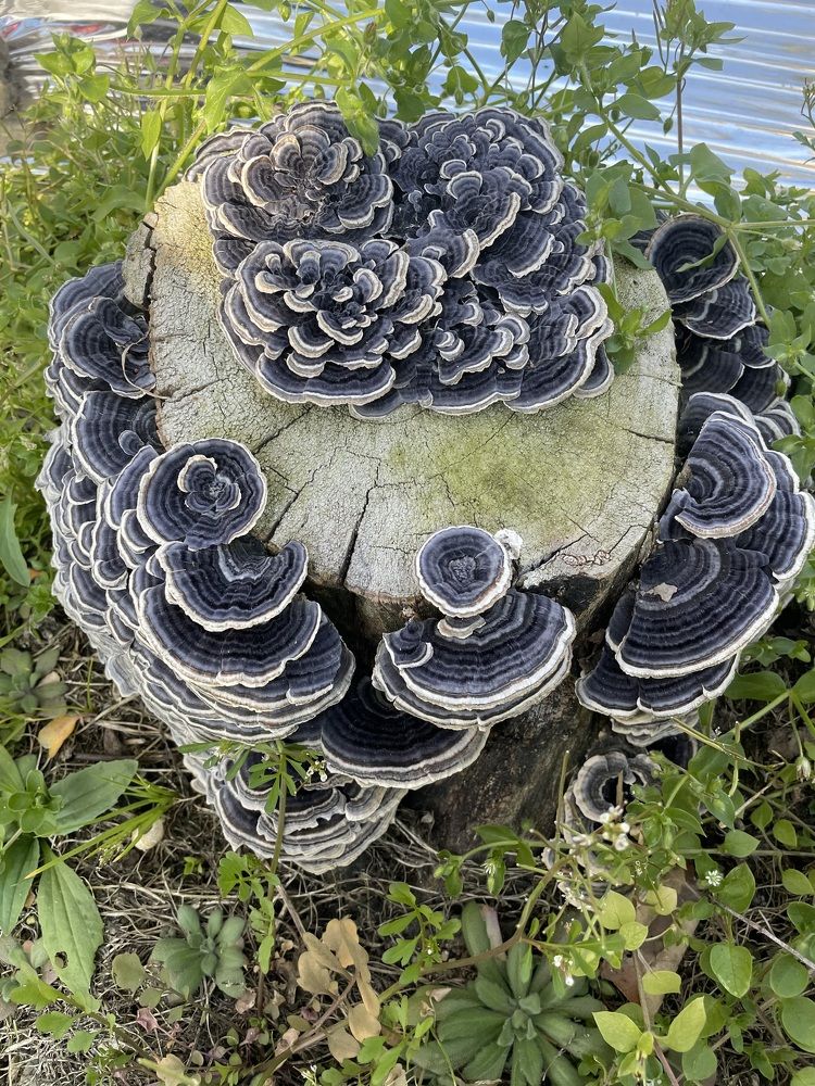 Photograph by Gorobets Olga