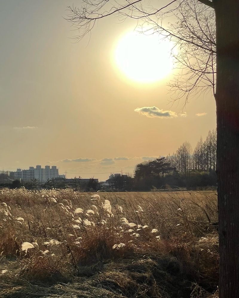 Photograph by Gorobets Olga