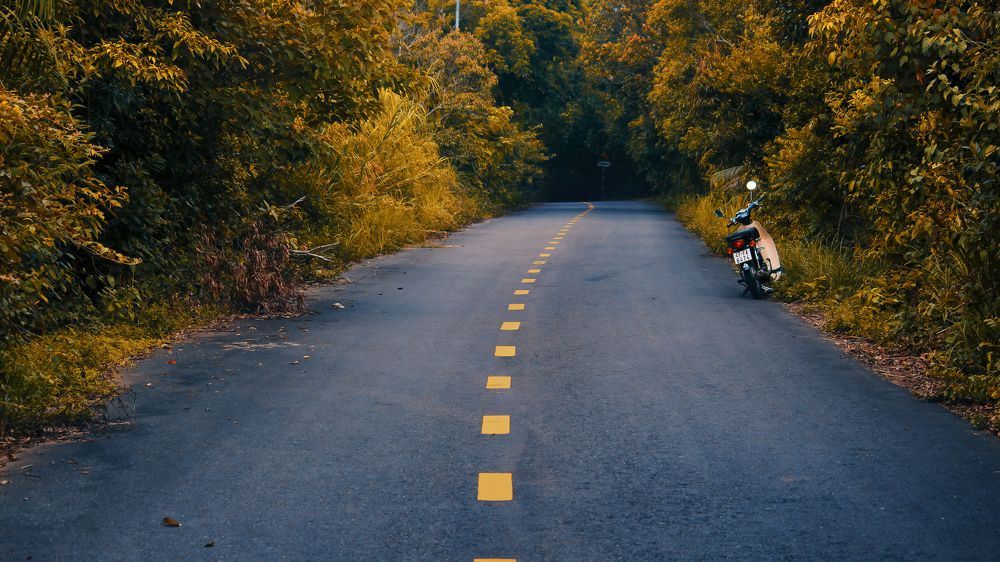 Photograph by Chau Nguyen