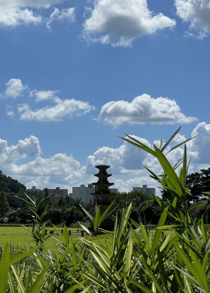 Photograph by Gorobets Olga