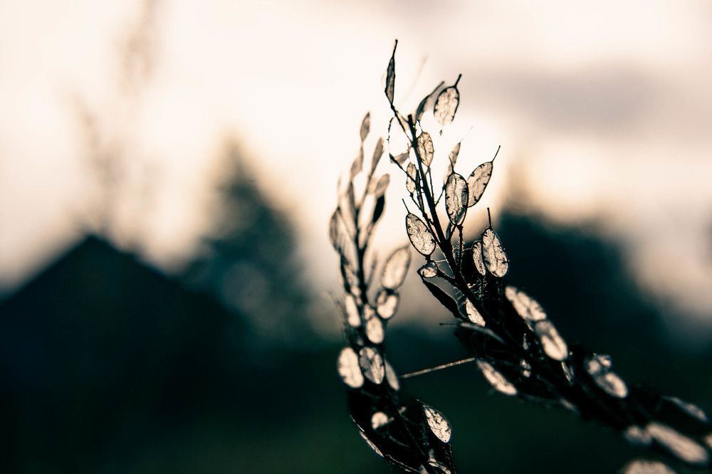 Фотография автора Ирина Гриценко