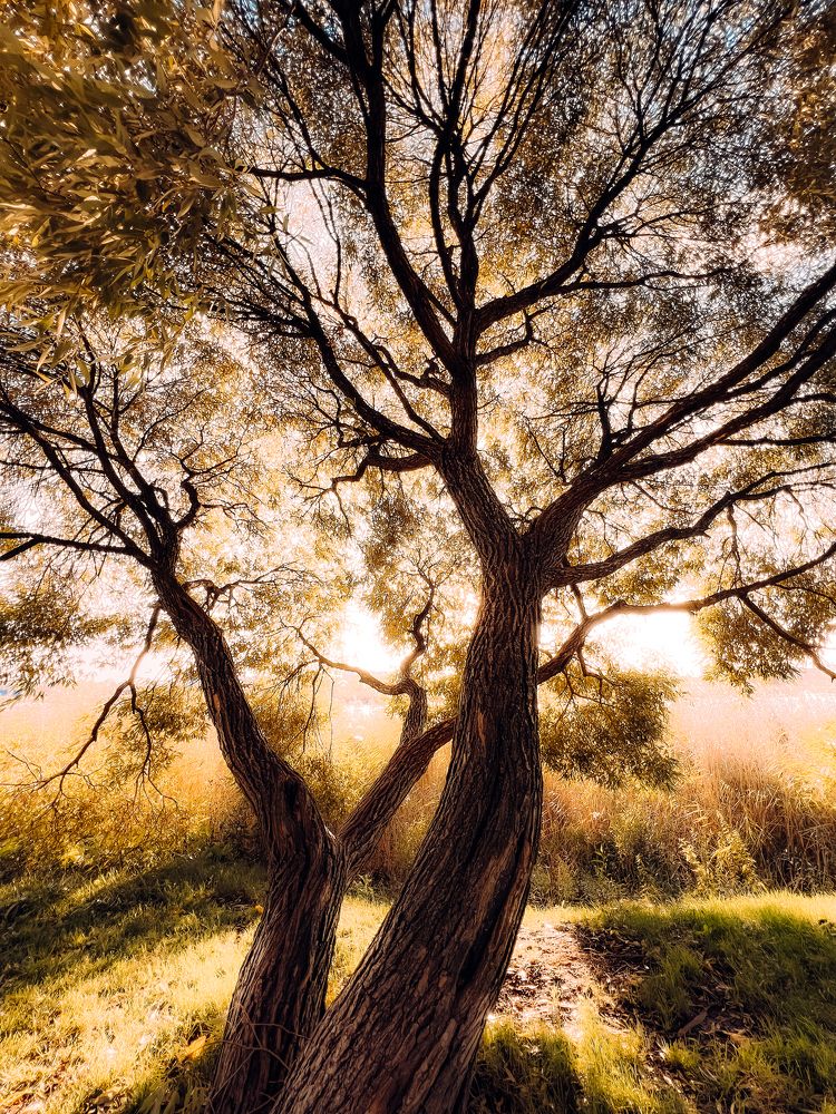 Photograph by Наталья Чернышова