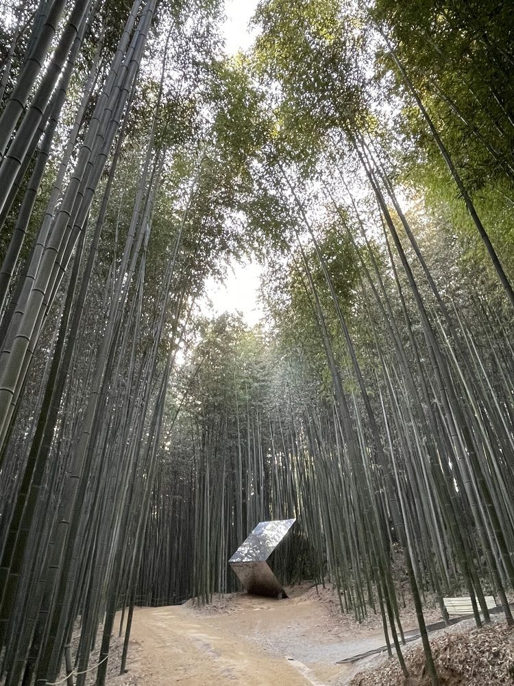 Photograph by Gorobets Olga