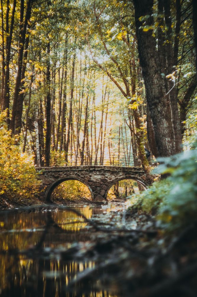 Photograph by Анастасия Калинина