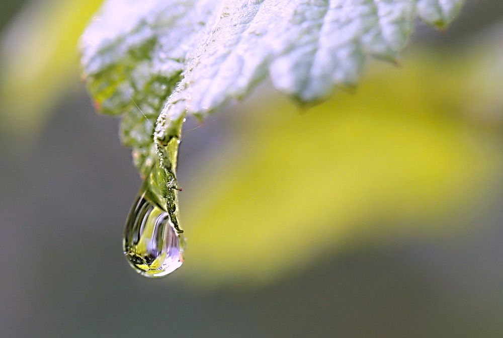 Photograph by Наталья Задерновская