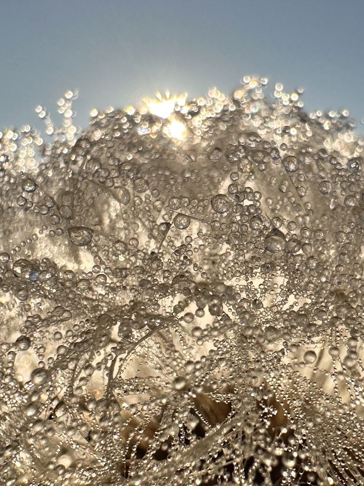 Photograph by Лариса Акинчиц