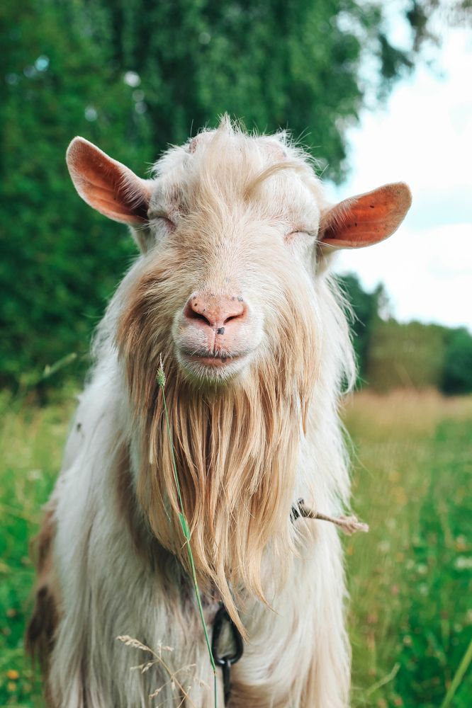 Photograph by Евгений Белов