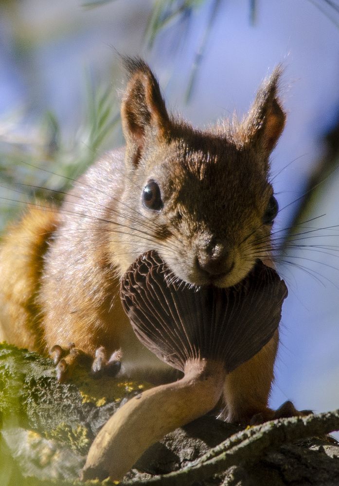 Photograph by Роман Кудрявцев