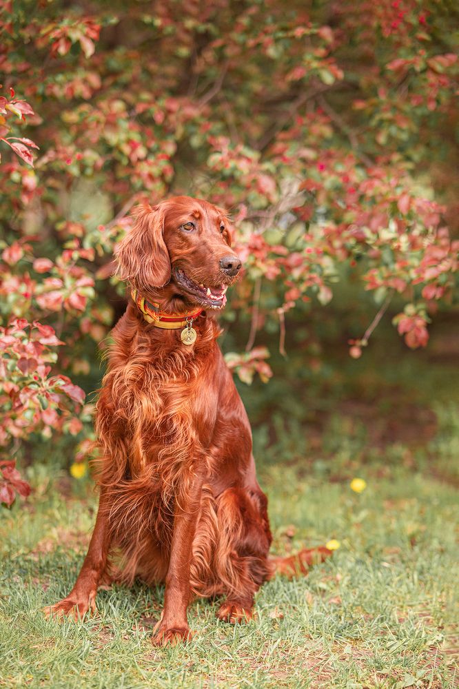 Photograph by Olga Matveeva