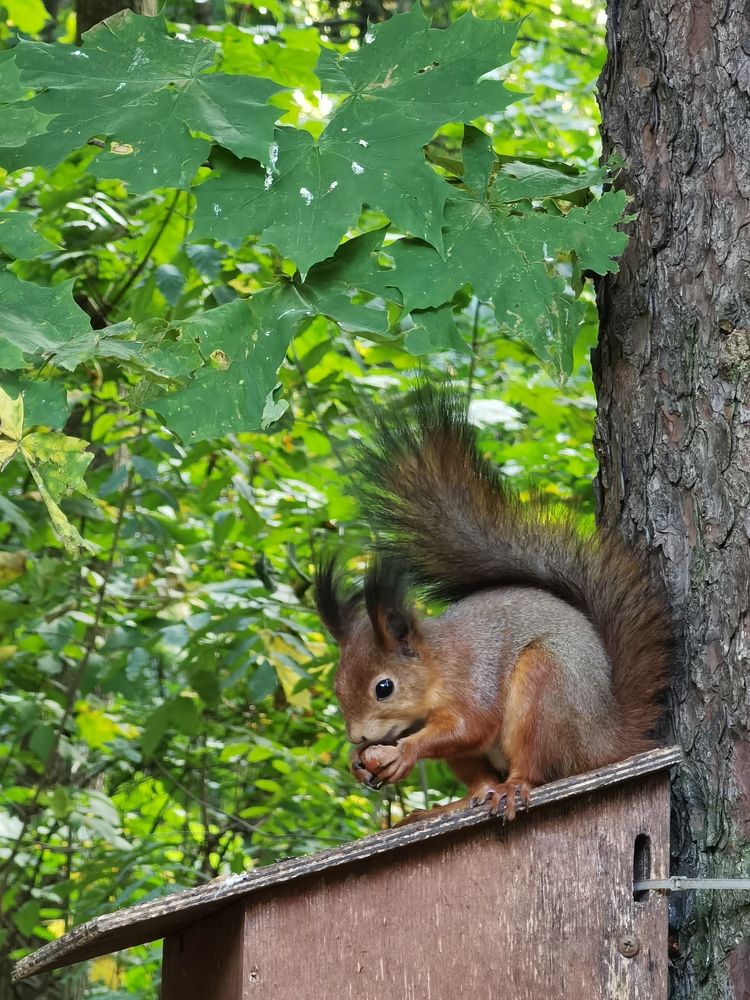 Photograph by Наталья Круглова