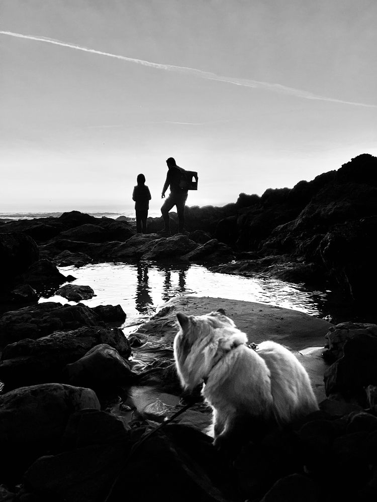 Photograph by Natalia