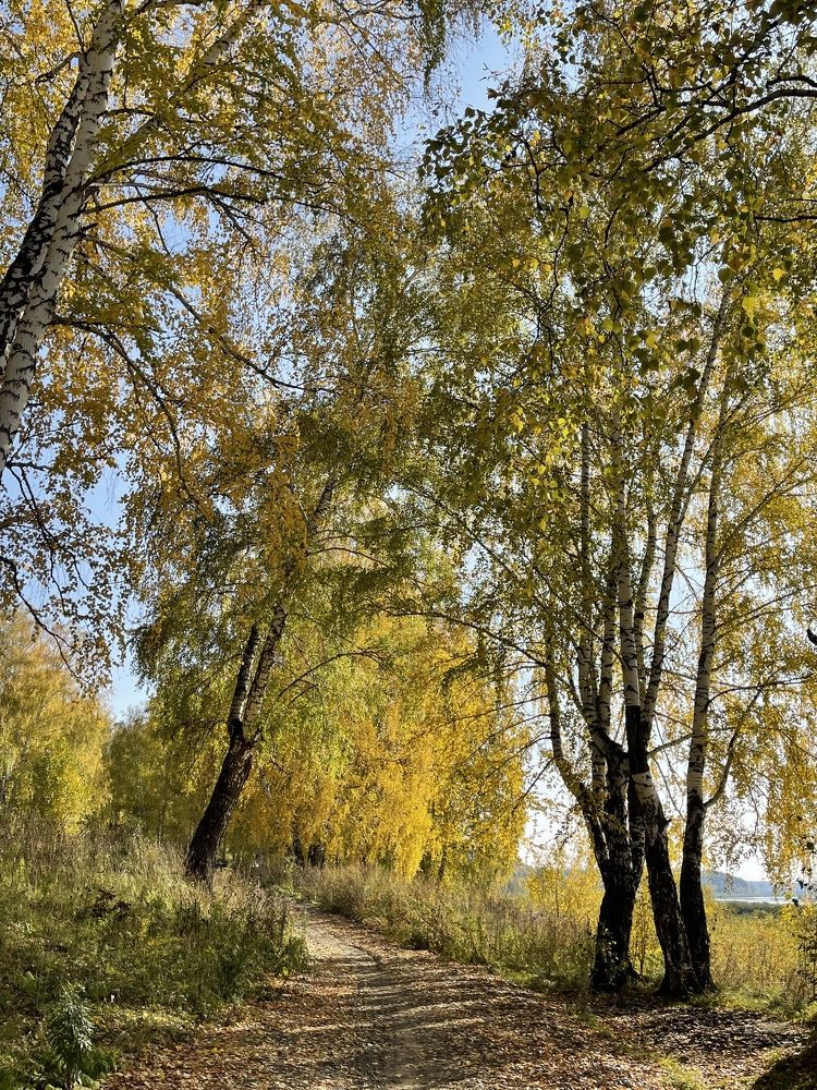 Солнечная осень