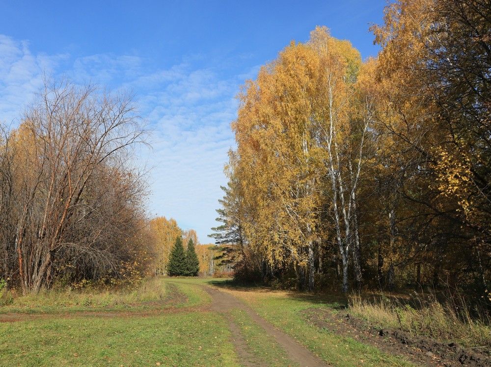 Осенним днём