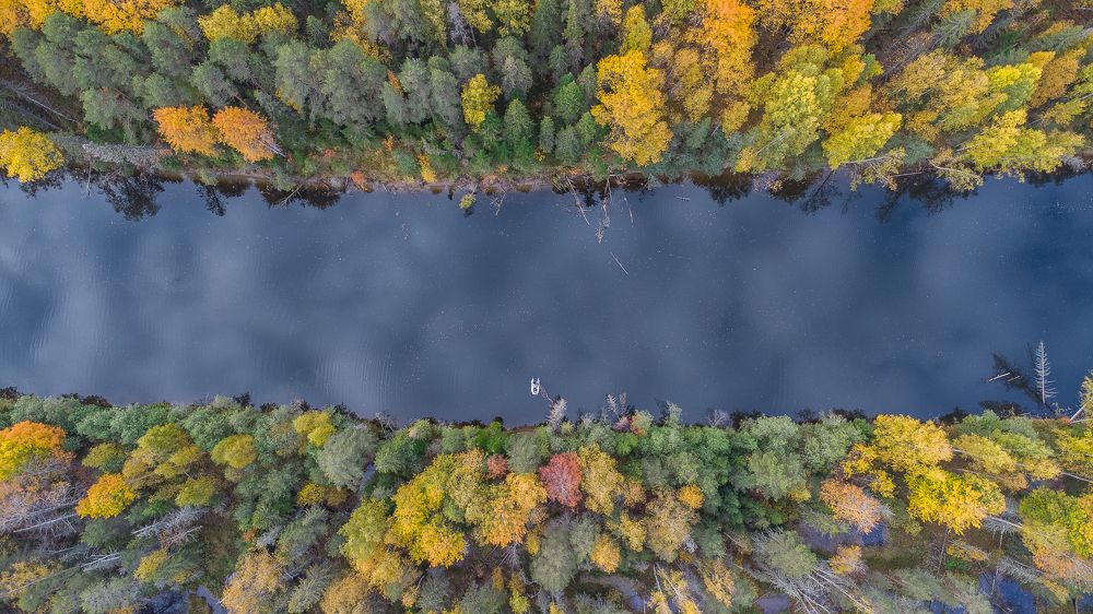 Фотография автора Шуплецов Алексей