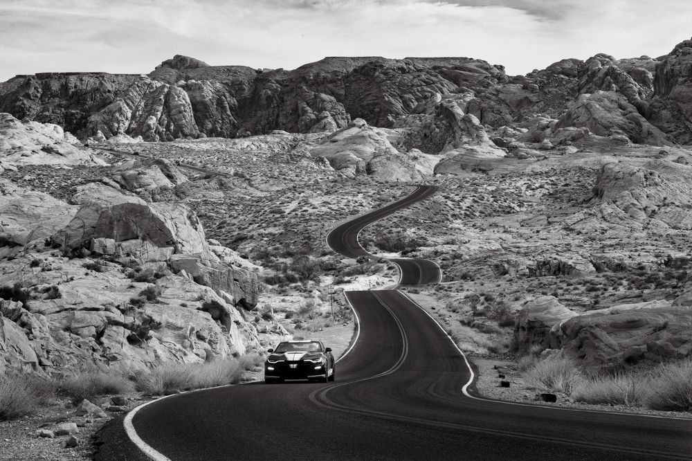 Photograph by Natalia