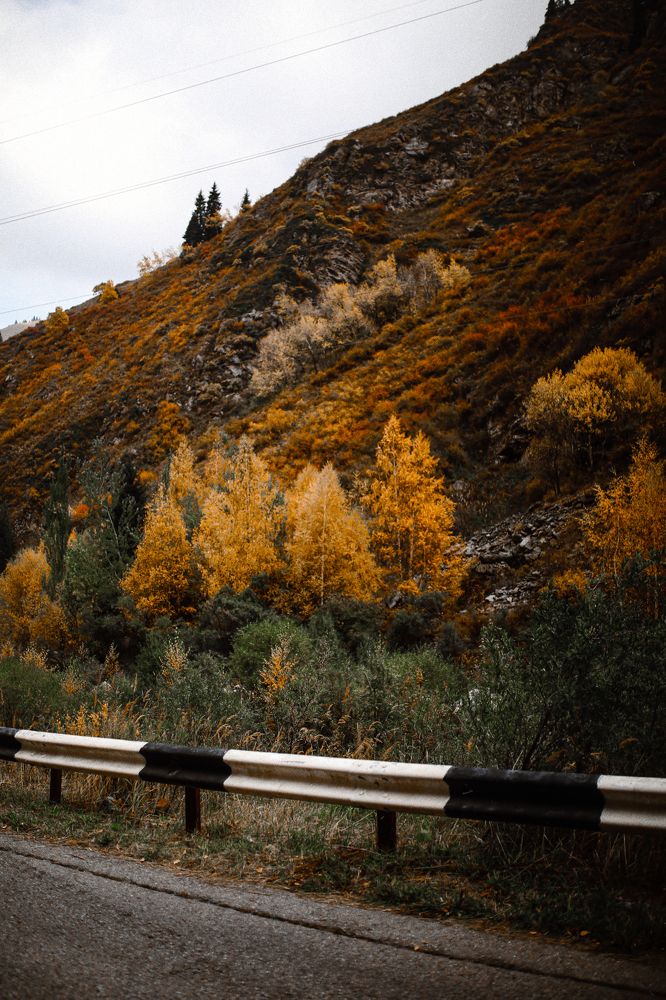 Photograph by Индира Кузнецова